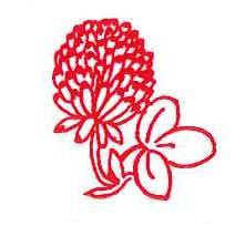 red clover logo, drawn image of a red clover
