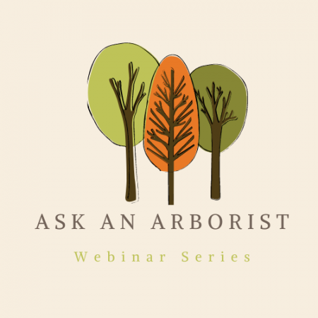 three illustrated trees with text reading ask an arborist webinar series
